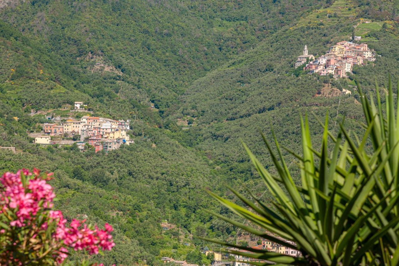 Villa Dell'Erta - Levanto Montale  Zewnętrze zdjęcie