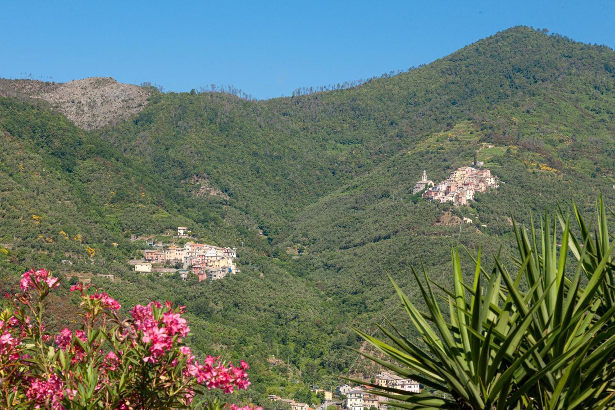 Villa Dell'Erta - Levanto Montale  Zewnętrze zdjęcie